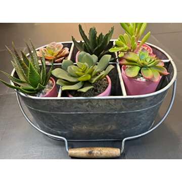 Elegant Hosley Galvanized Planter Rack - 13 Inch Floral Arrangements for Home & Garden