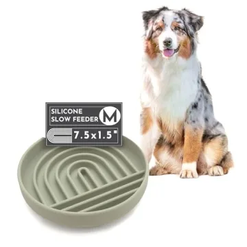 Should We Go? - The Slowdown Bowl - Silicone Slow Feeder for Dogs & Puppies, Slow Eating, Modern Lic...