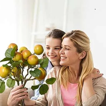 Hagao Artificial Fruit Branches Artificial Apple Highly Simulation Lifelike Model for Vase Home Party Decoration (2pcs Apple Branches)