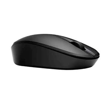 HP Dual Mode Mouse 300 (Black, 6CR71AA)