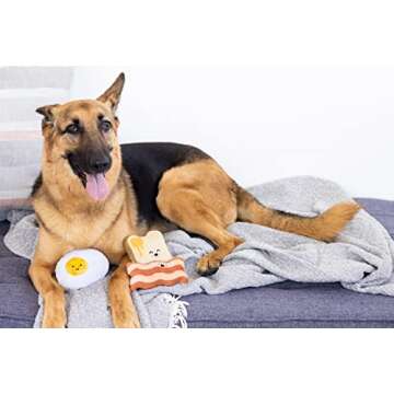 Pearhead Barkfast Dog Toys, Set of 3, Plush Pet Squeaker Toys, Breakfast Dog Toy Set, Toast Bacon & ...