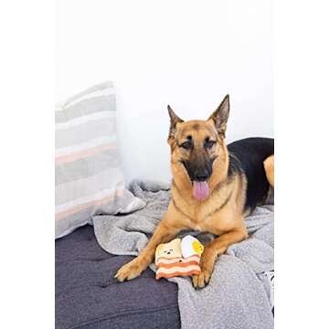 Pearhead Barkfast Dog Toys, Set of 3, Plush Pet Squeaker Toys, Breakfast Dog Toy Set, Toast Bacon & Egg Toy Set, Must Have Pet Accessories for Pet Owners