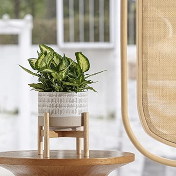 Elegant LA Jolie Muse Ceramic Plant Pot with Stand
