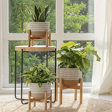 Elegant LA Jolie Muse Ceramic Plant Pot with Stand