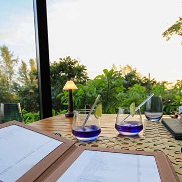 Butterfly Pea Flower Tea - Natural Herbal Butterfly Pea Tea for Relaxation, Stress Relief and Healthy Immunity (20 Tea Bags)