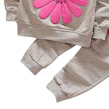 Toddler Baby Girls Sunflower Clothes Set Long Sleeve Top and Pants 2pcs Outfits Fall Clothes (Grey,Age 3T)