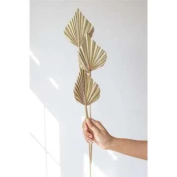 Dried Palm Leaves 10 Pcs Natural Decor for Events & Home