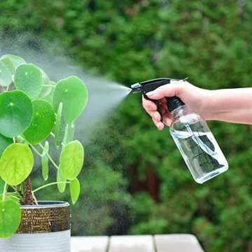 Youngever 5 Pack 8 Ounce Empty Glass Spray Bottles with Measurements, Spray Bottles for Hair and Cleaning Solutions (Clear)