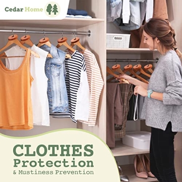 Cedar Hyde Cedar Blocks for Clothes Storage 40 Pieces