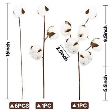 DomeStar Cotton Stems, Natural Dried Cotton 8 Packs Total 15 Bolls Cotton Sprigs Cotton Blooms Floral Stems for Vase Fillers