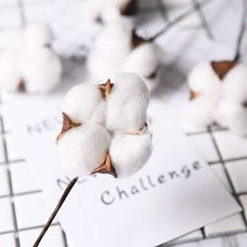 DomeStar Cotton Stems, Natural Dried Cotton 8 Packs Total 15 Bolls Cotton Sprigs Cotton Blooms Floral Stems for Vase Fillers