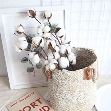 DomeStar Cotton Stems, Natural Dried Cotton 8 Packs Total 15 Bolls Cotton Sprigs Cotton Blooms Floral Stems for Vase Fillers