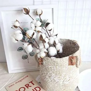 DomeStar Cotton Stems, Perfect Dried Floral Decor