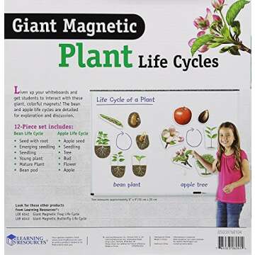 Learning Resources Giant Magnetic Plant Life Cycle - 12 Pieces, Science Exploration Activities for K...