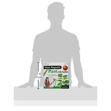 Giant Magnetic Plant Life Cycle Set - Fun Classroom Science