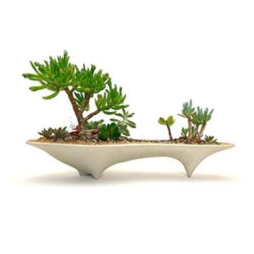 Island Concrete Modern Planter for Stylish Decor