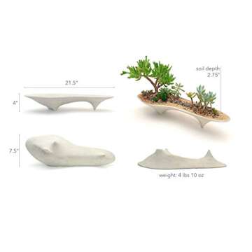 Island Concrete Modern Planter for Stylish Decor