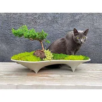 Island Concrete Modern Planter for Stylish Decor