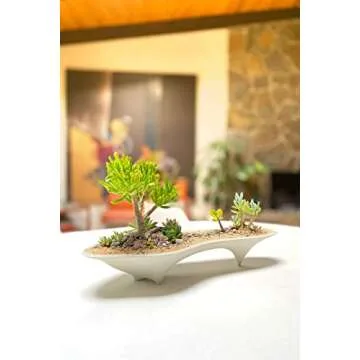 Island Concrete Modern Planter for Stylish Decor