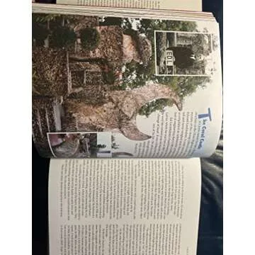 Explore Florida's Secrets with Weird Florida Travel Guide