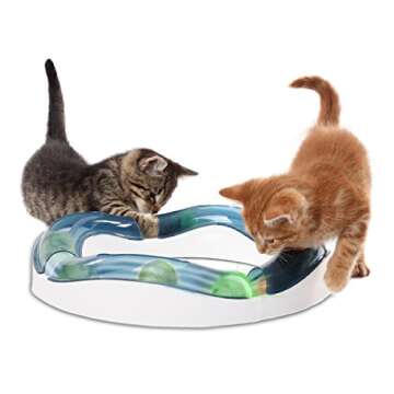 Catit Design Senses Speed Circuit: Unleash Your Cat's Playful Instincts