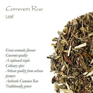 Rue Herb - Ruda Herb -Rue Herbs - Ruta Graveolens