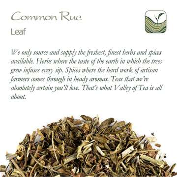 Rue Herb - Ruda Herb -Rue Herbs - Ruta Graveolens