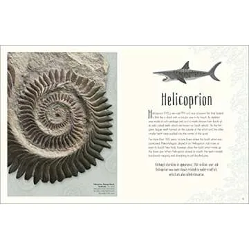 Dinosaurs and Prehistoric Life Book for Young Explorers