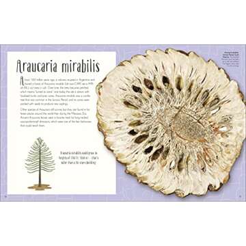 Dinosaurs and Prehistoric Life Book for Young Explorers