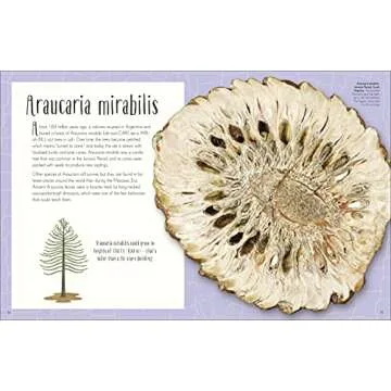 Dinosaurs and Prehistoric Life Book for Young Explorers