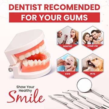 Dental Duty Dental Tools, Dental Pick for Teeth Cleaning Tools – Plaque Remover for Teeth with Teeth Cleaning Kit - Stainless Steel Dental Mirror for Teeth, Scraper and Scaler, (Red)