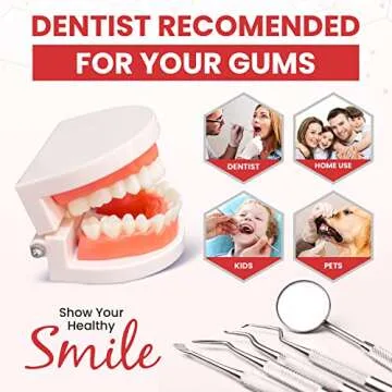 Dental Duty Dental Tools, Dental Pick for Teeth Cleaning Tools – Plaque Remover for Teeth with Teeth Cleaning Kit - Stainless Steel Dental Mirror for Teeth, Scraper and Scaler, (Red)