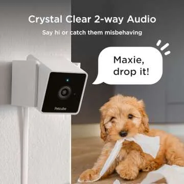 Petcube Cam The Pack of 2 | Indoor Wi-Fi Pet Security Camera with Phone App, 2-Way Audio and Video, Night Vision, 1080p HD Video and Smart Alerts