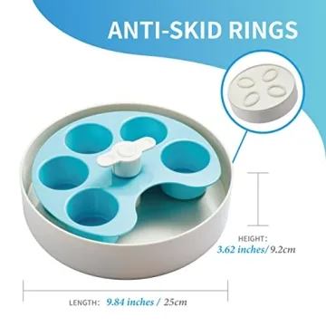 PetDreamHouse Spin Interactive Slow Feeder Bowl for Dogs