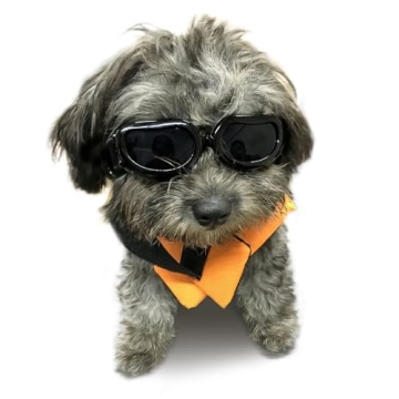 Stylish Dog Sunglasses for Small Breeds, UV Protection Gift