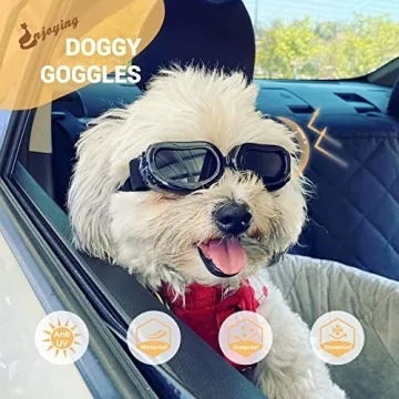 Stylish Dog Sunglasses for Small Breeds, UV Protection Gift
