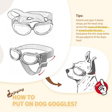 Stylish Dog Sunglasses for Small Breeds, UV Protection Gift