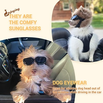 Stylish Dog Sunglasses for Small Breeds, UV Protection Gift