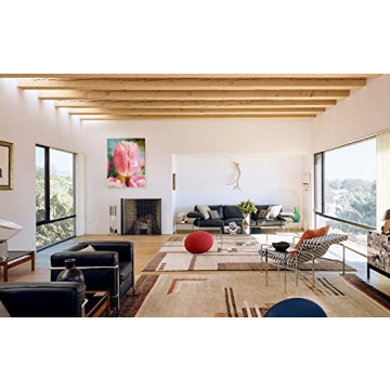 Santa Fe Modern Book on Contemporary Architecture