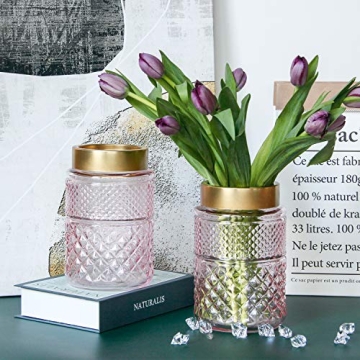 Elegant 2-Pack Flower Vase Glass Set in Blush Pink