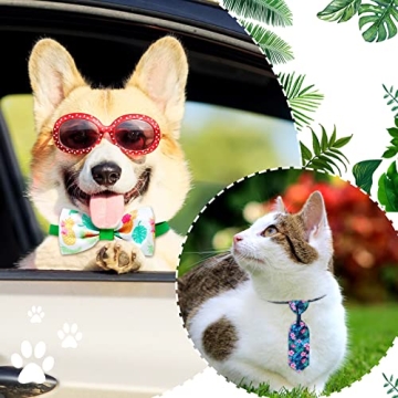 20 Summer Pet Bow Tie Set - Adjustable Ties & Collars