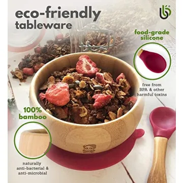 Bamboo Suction Bowl Set for Easy Mealtime for Babies
