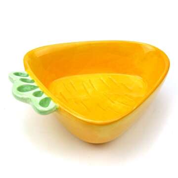 Adorable Owen Ceramic Bowl Set for Small Pets