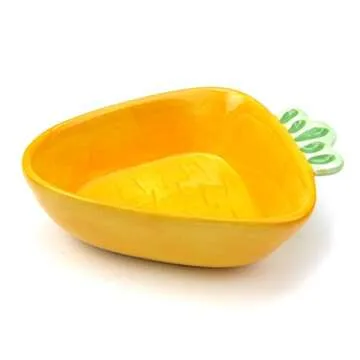 Adorable Owen Ceramic Bowl Set for Small Pets