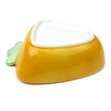 Adorable Owen Ceramic Bowl Set for Small Pets