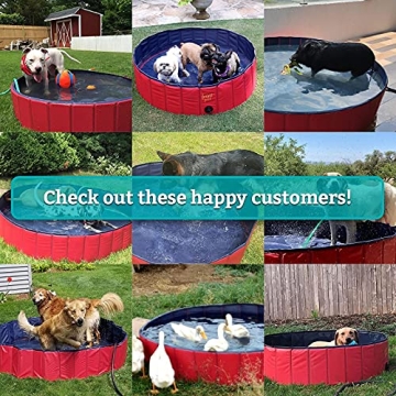 Durable Foldable Dog Pool for Small Pets and Kids