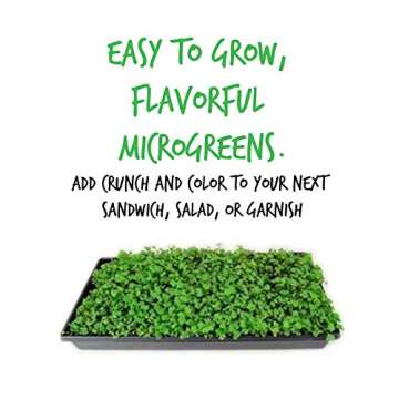 Kale Garden Seeds - Vates Blue Scotch Curled - 1 Lb - Non-GMO, Heirloom- Vegetable Gardening & Microgreens