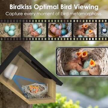 Birdkiss Smart Bird Houses for Outside Solar Powered, 1080P HD Live View Birdhouse with Camera, Perfect Viewing Bird Nesting and Hatching, Ideal Outdoors Bird House for Blue Bird and Cardinal (Black)