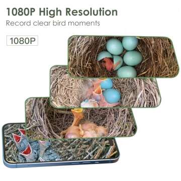 Birdkiss Smart Bird Houses for Outside Solar Powered, 1080P HD Live View Birdhouse with Camera, Perfect Viewing Bird Nesting and Hatching, Ideal Outdoors Bird House for Blue Bird and Cardinal (Black)