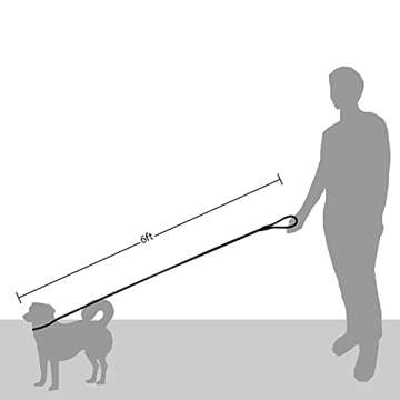 Friends Forever Extremely Durable Dog Rope Leash, Premium Quality Training Slip Lead, Reflective, Thick Heavy Duty, Sturdy, No Pull, Comfortable For The Strong Large Medium Small Pets 6 feet, Black